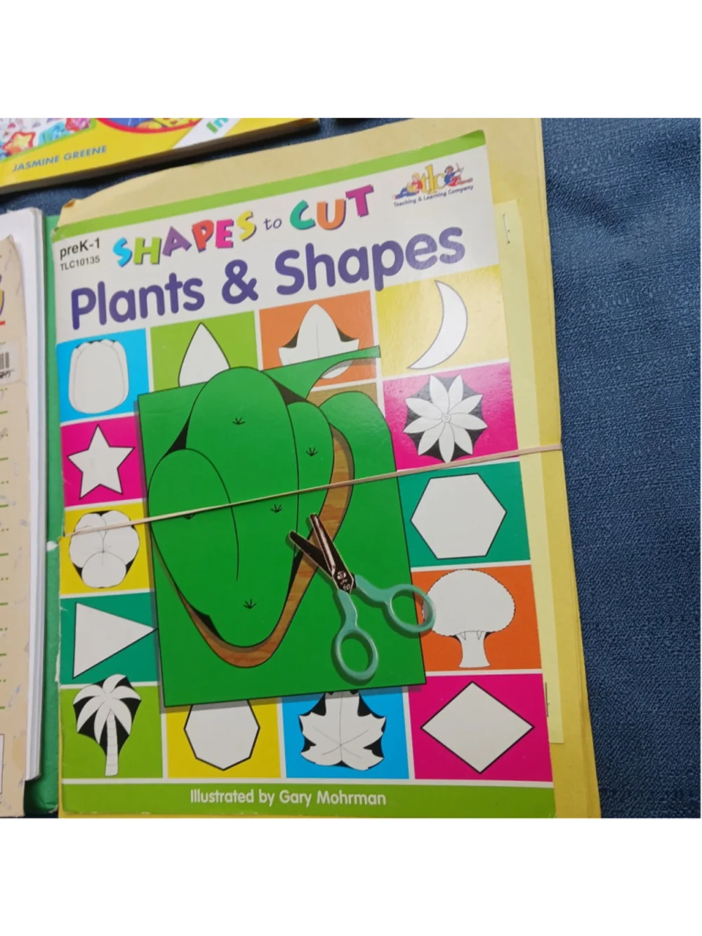 Unbranded homeschool early